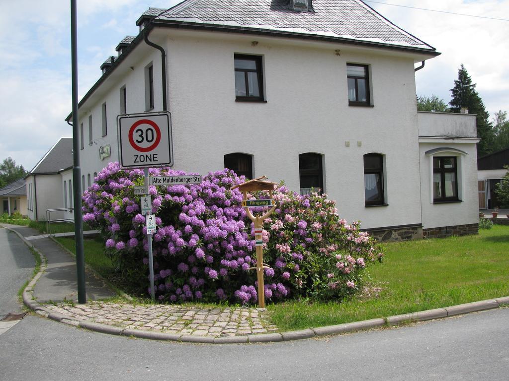 Reiterhof & Pension Lienemann Grünbach Exterior foto